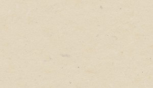 top_bg002